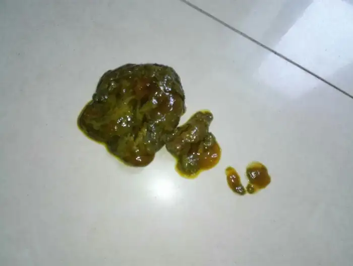 小狗拉稀带血(小狗拉稀带血怎么治疗,吃什么药)