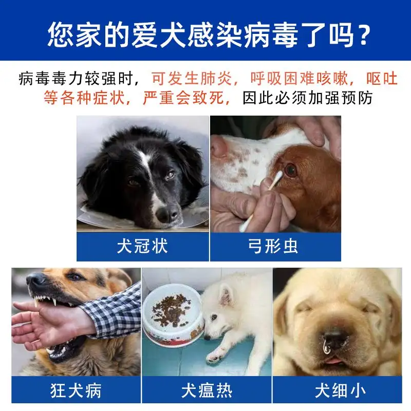 犬瘟症状(犬瘟症状会传染人吗)