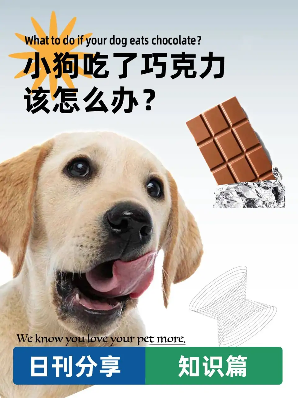 狗吃巧克力(狗吃巧克力会产生什么反应)