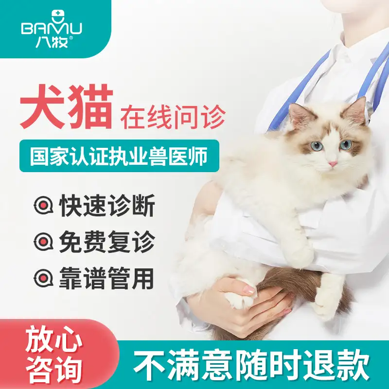 宠物医生在线咨询(仓鼠宠物医生在线咨询)