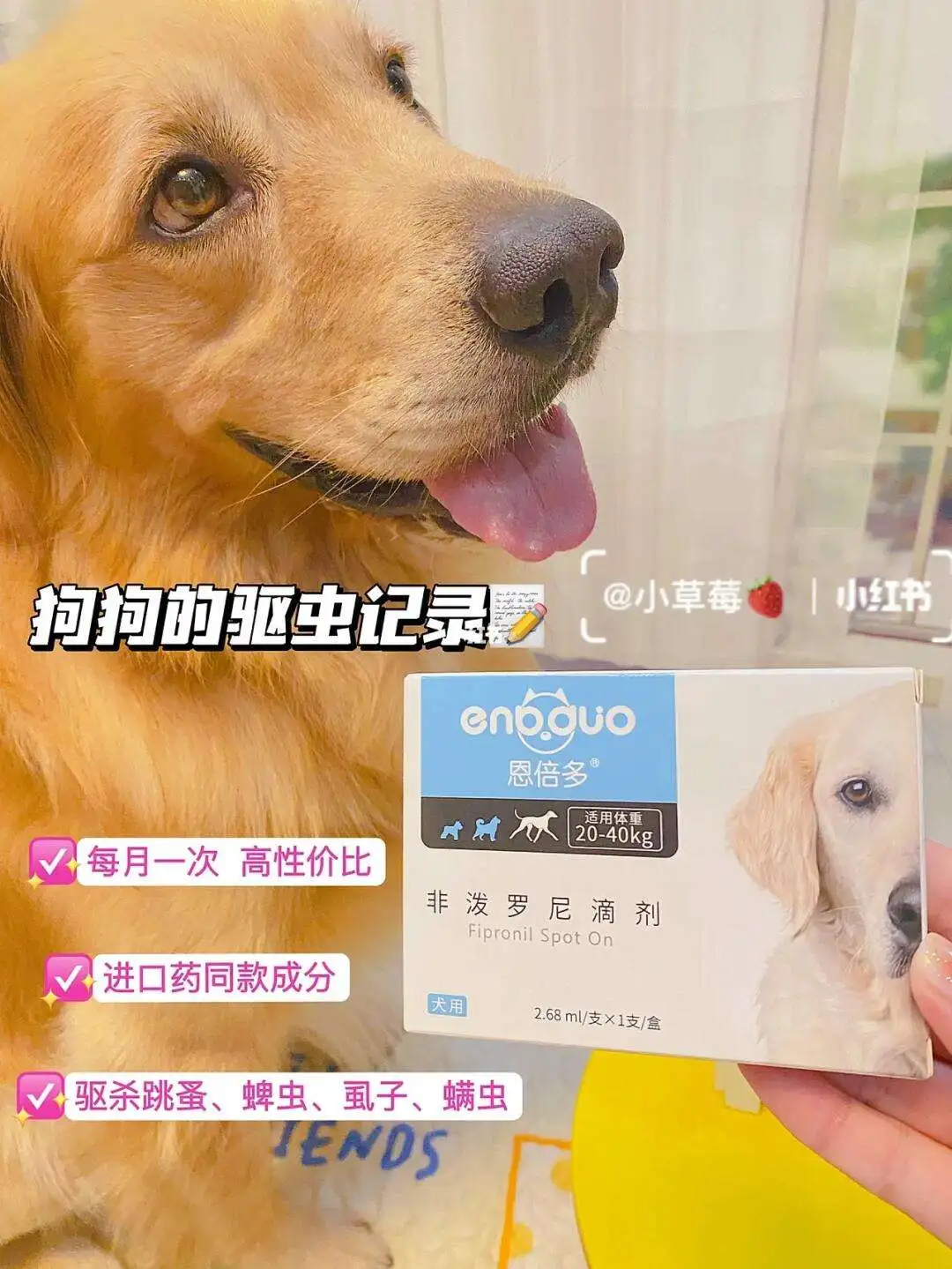 宠物驱虫(宠物驱虫多少钱)
