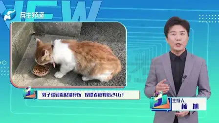 踩到猫了(踩到猫了童声合唱)