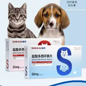狗狗消炎退烧用啥药(狗狗消炎退烧用啥药好)