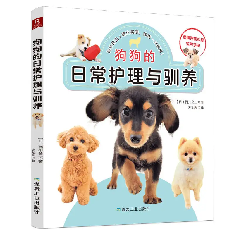 怎么养狗狗(养狗新手入门必知)