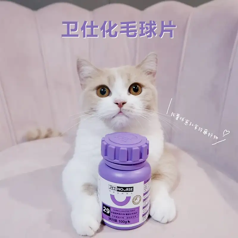 猫咪便秘吃啥能改善(猫咪便秘吃啥能改善呢)