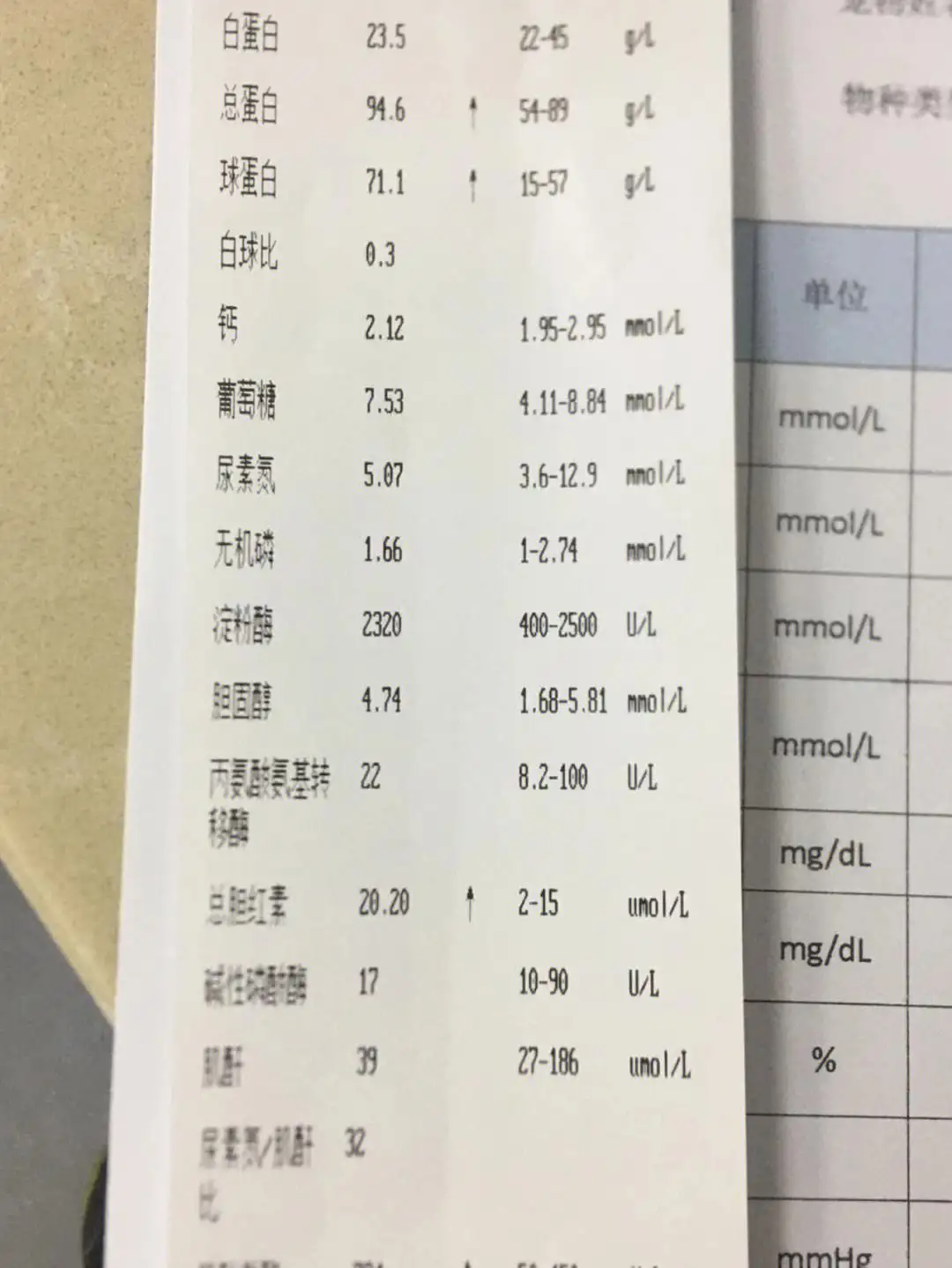 猫传腹确诊依据(猫传腹的诊断标准)