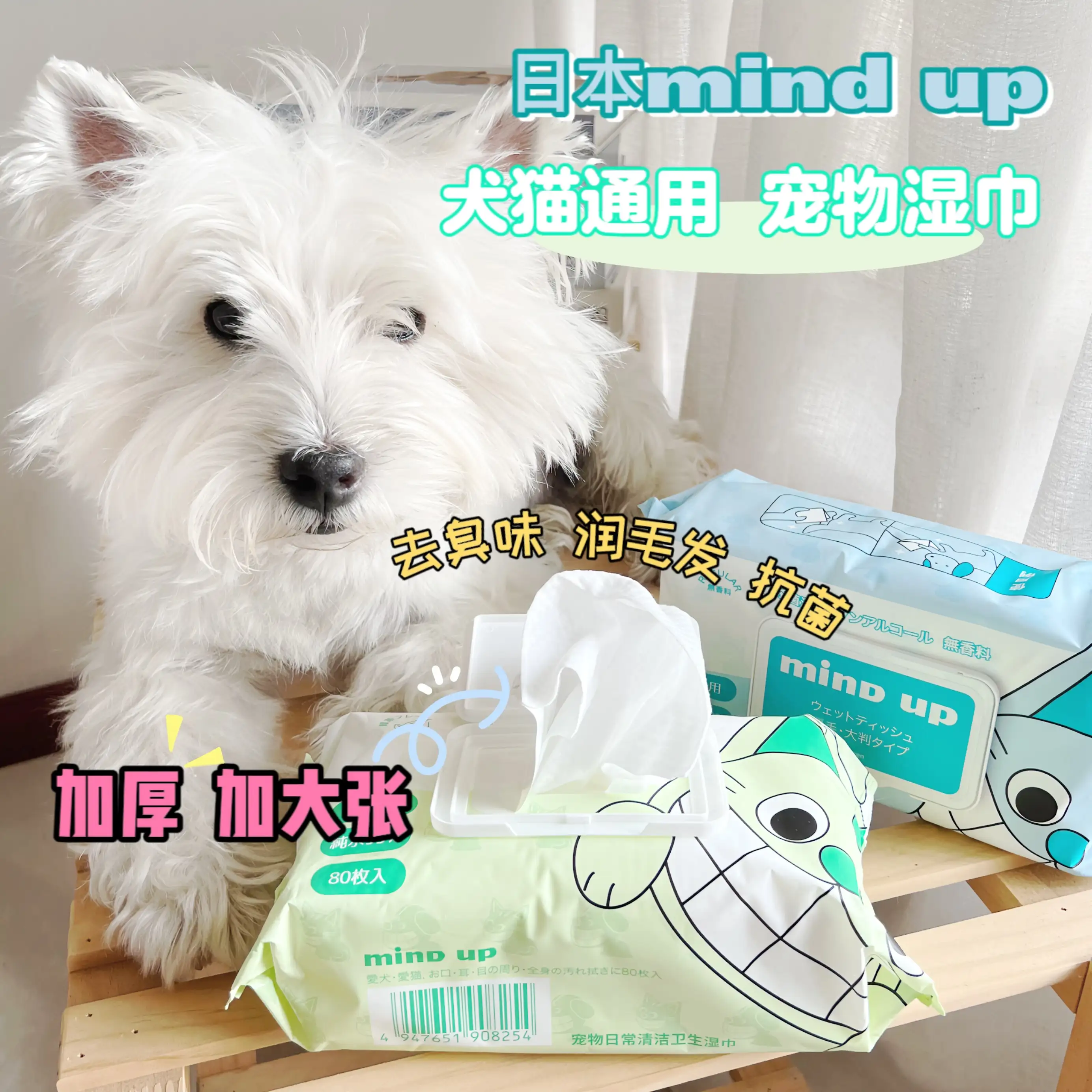 怎么去除猫咪身上的味道(怎么去除猫咪身上的味道啊)