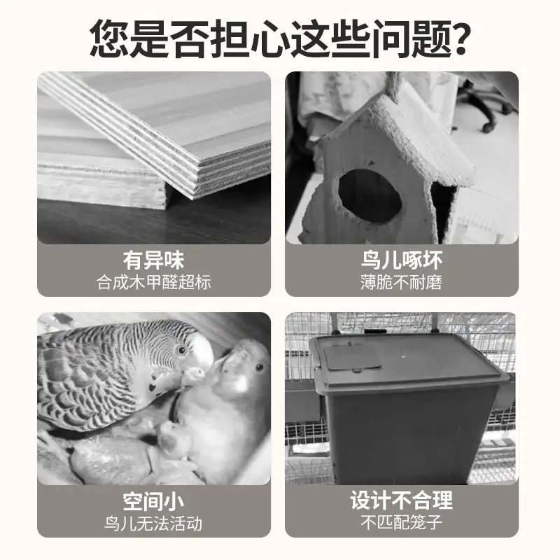 虎皮鹦鹉繁殖箱最简易(虎皮鹦鹉繁殖箱最简易制作)
