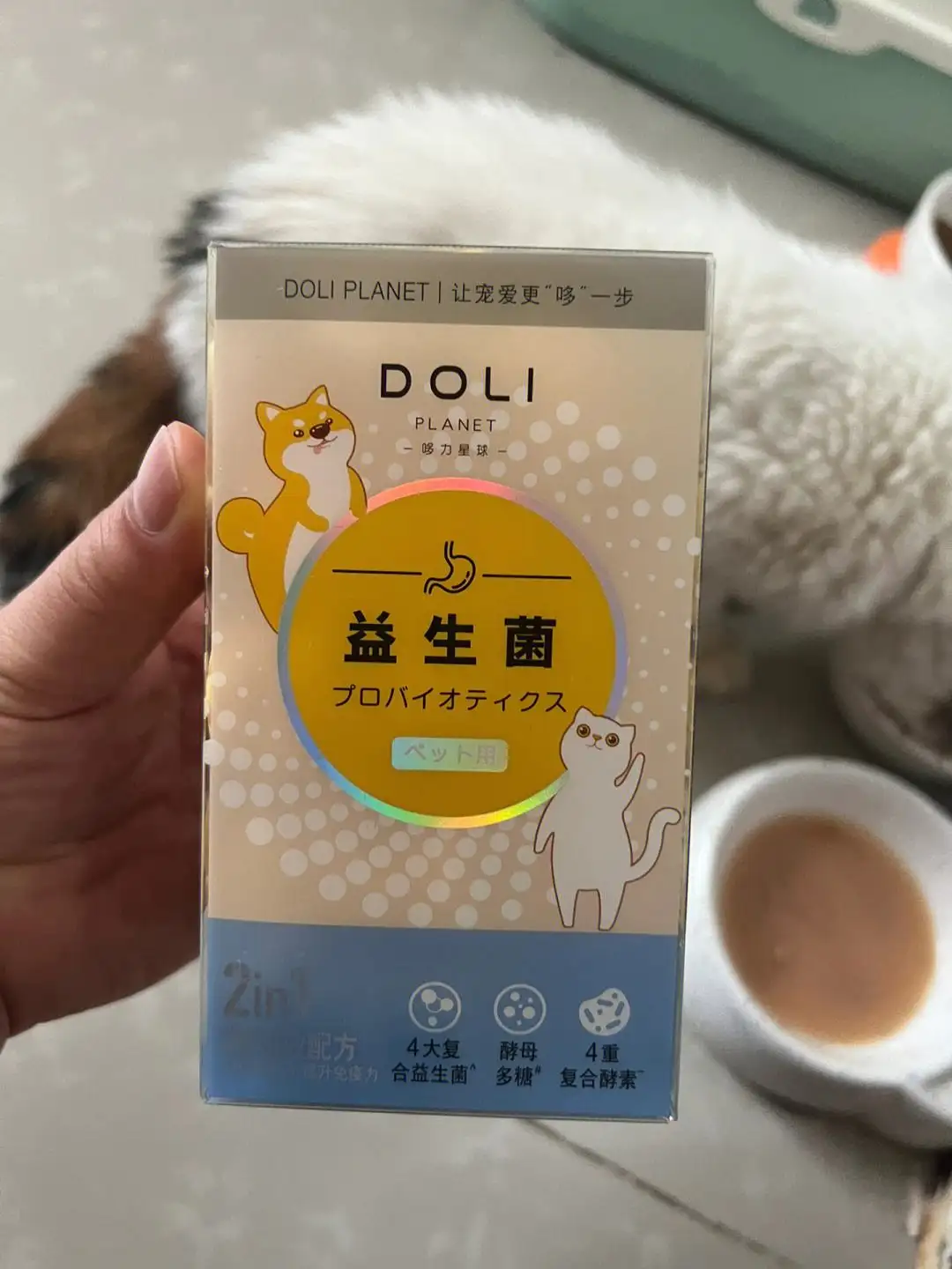 猫咪益生菌便秘(猫咪益生菌便秘可以吃吗)
