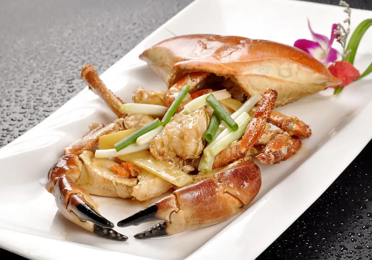 面包蟹吃什么食物(面包蟹吃什么食物好养活一点)