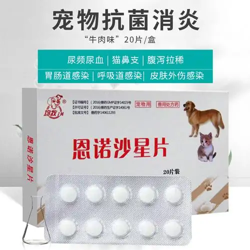 狗狗发烧呕吐怎么办吃什么药(狗狗发烧呕吐怎么办吃什么药好)
