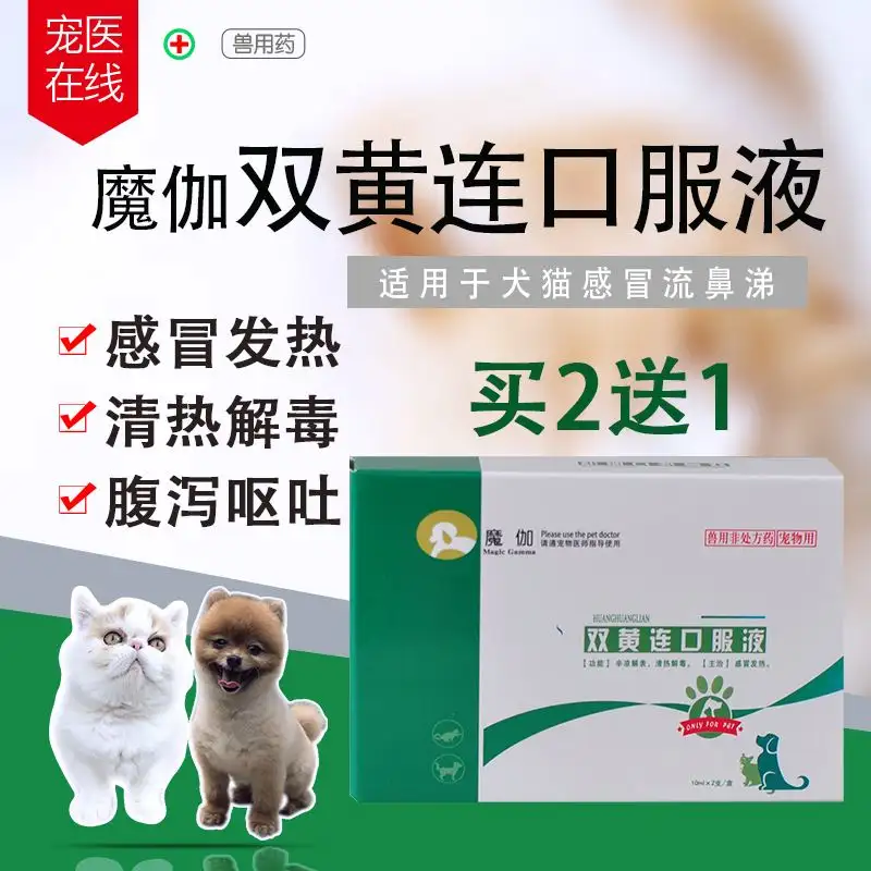 狗狗发烧呕吐怎么办吃什么药(狗狗发烧呕吐怎么办吃什么药好)