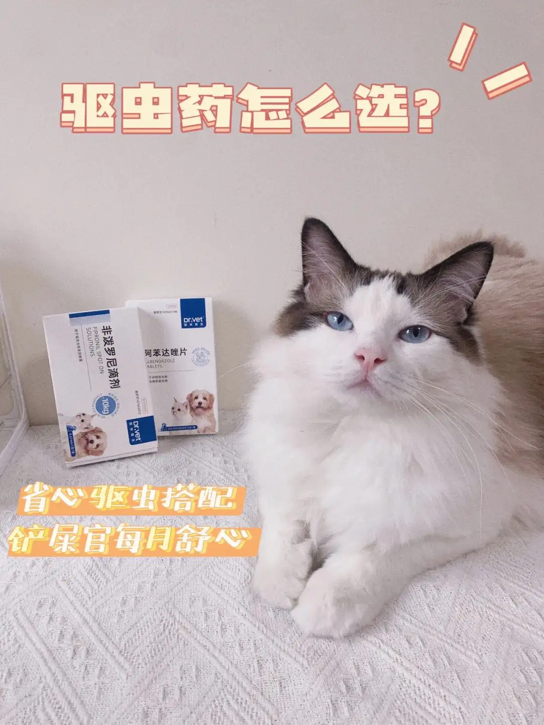 宠物猫定期驱虫(宠物猫定期驱虫打针怀孕有影响吗)