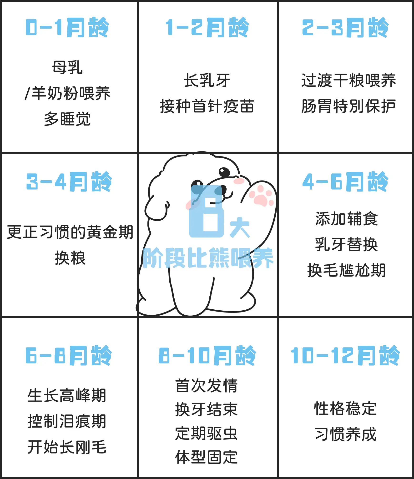 养一只比熊一个月要花多少钱(养一只比熊一个月要花多少钱呢)