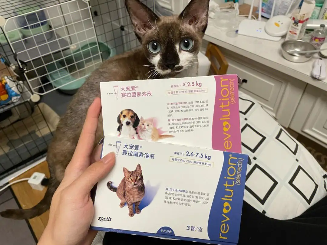 宠物驱虫套餐(宠物驱虫产品对比表)
