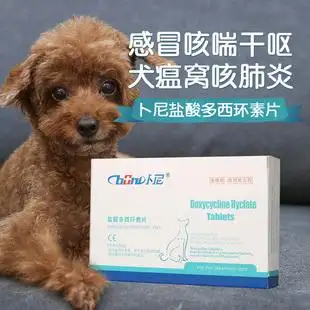 狗狗发高烧用什么药(狗狗发高烧用什么药好)
