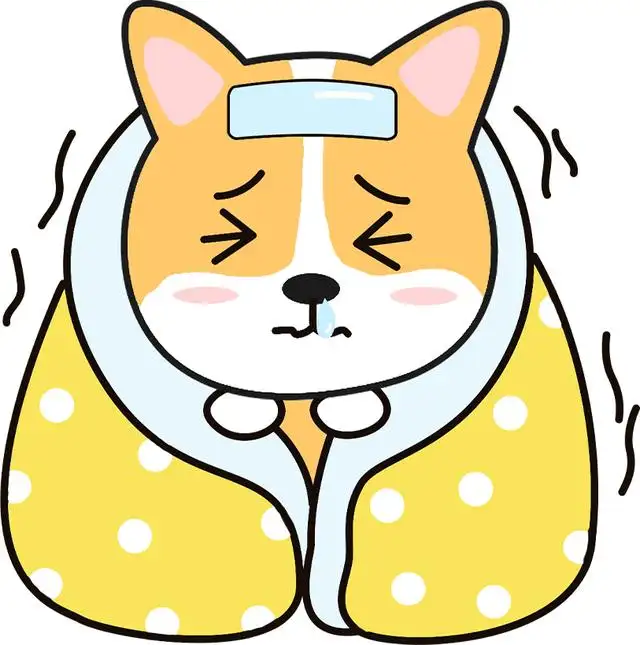 狗狗热感冒什么症状(狗狗热重了要吃什么药)