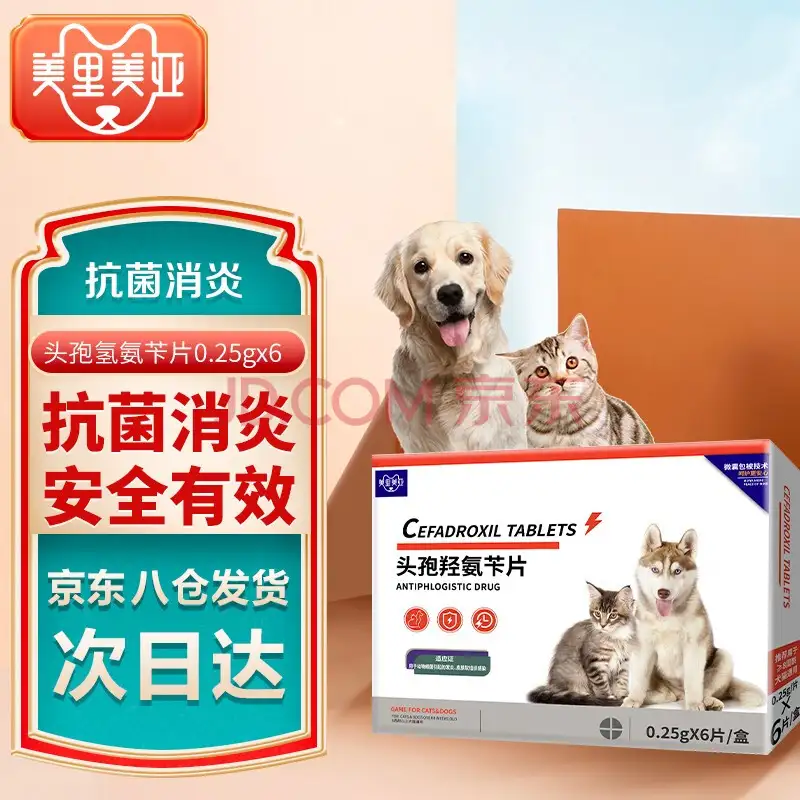 狗狗发烧了吃啥药(狗狗发烧了吃啥药最好)