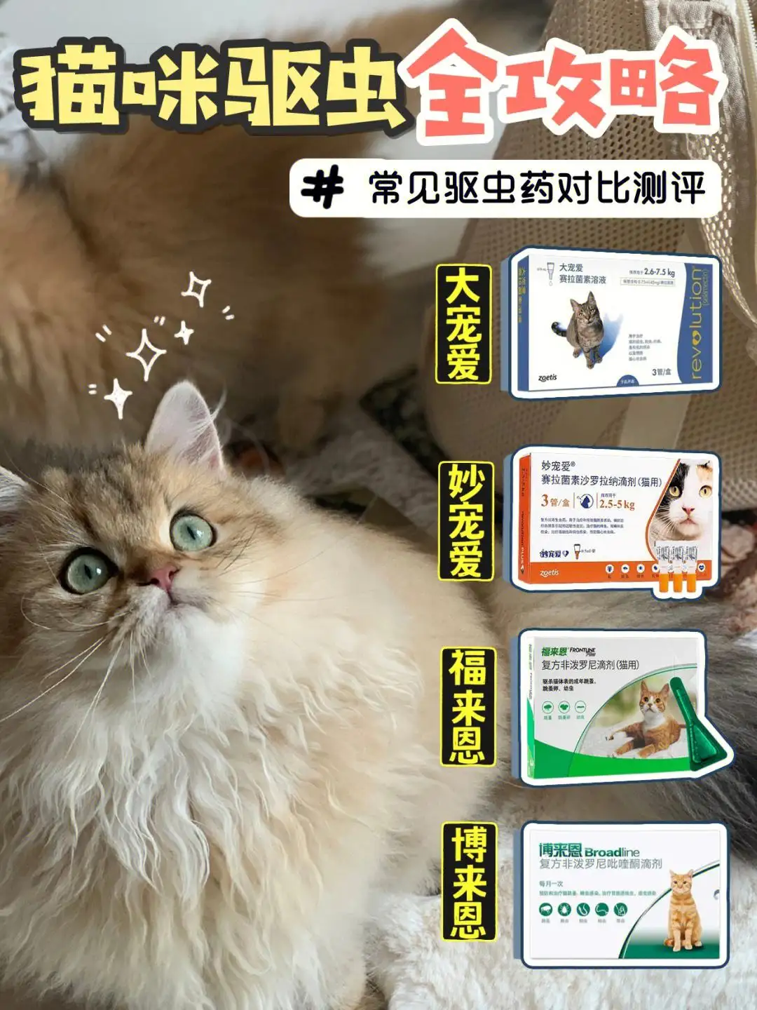 猫咪多大可以用驱虫药(猫咪多大可以用驱虫药驱虫)