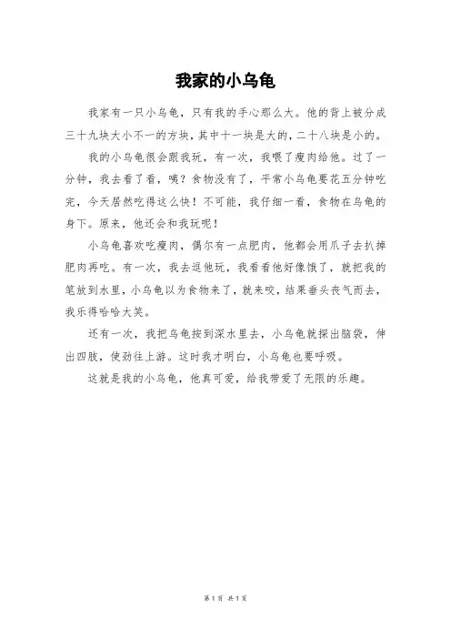我的动物朋友巴西龟作文(我的动物朋友巴西龟 作文)