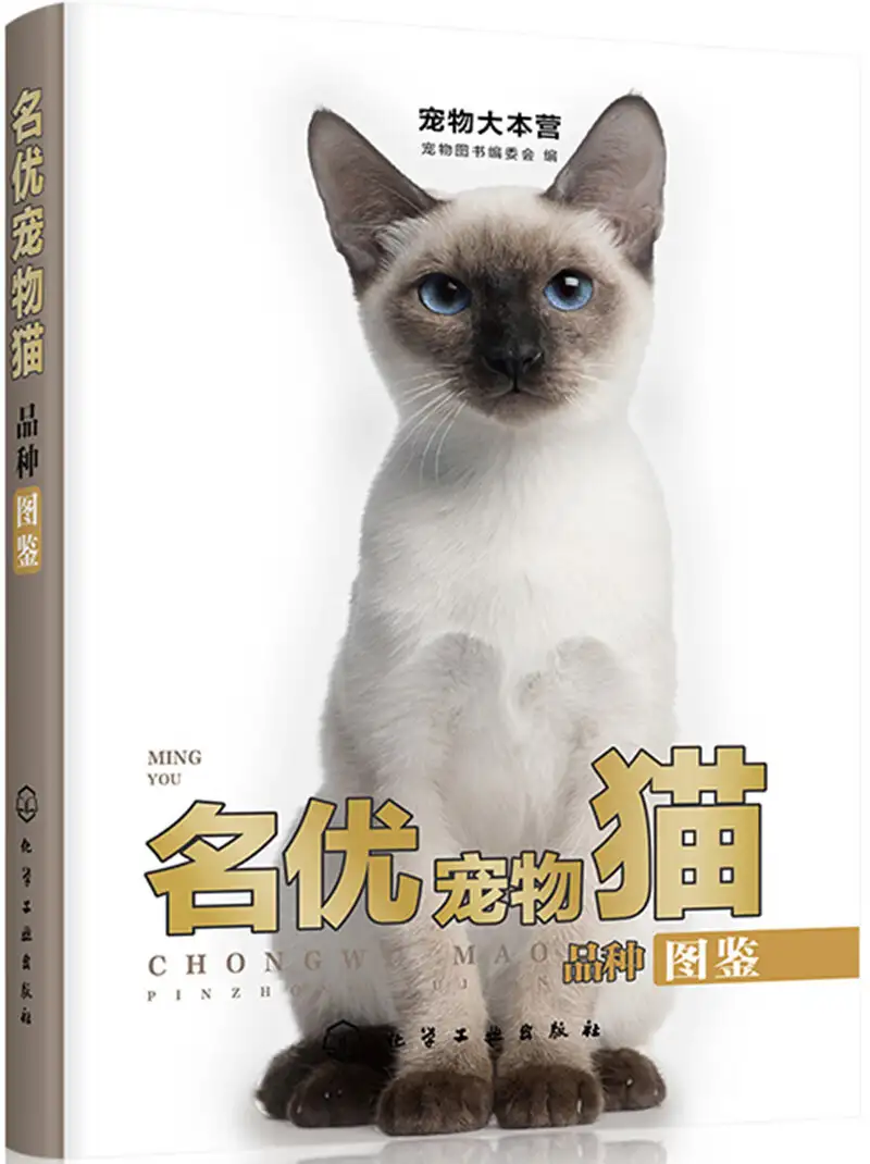 宠物猫咪品种(宠物猫咪品种大全)
