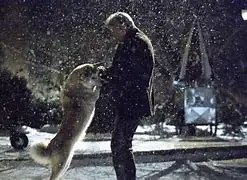 忠犬八公免费观看(忠犬八公免费观看完整版)