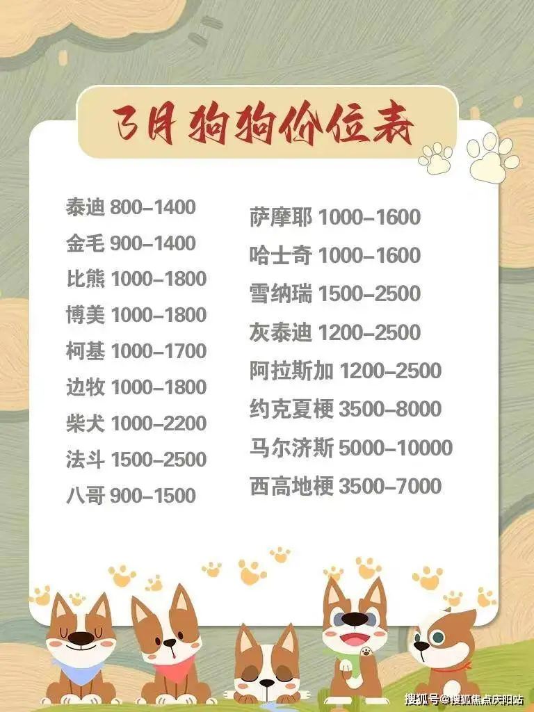养一只边境牧羊犬一个月要多少钱(养一只边境牧羊犬一个月要花多少钱)