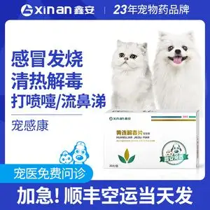 小狗感冒吃什么药好一点?的简单介绍