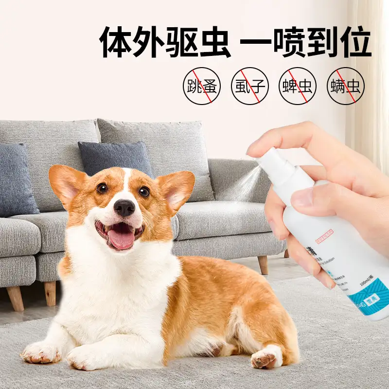 狗跳蚤驱虫(狗狗驱虫跳蚤会不会跑到人身上)