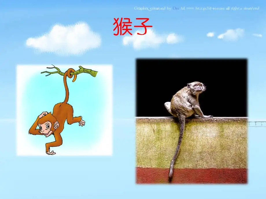 谁的尾巴有用处(谁的尾巴能有什么作用)
