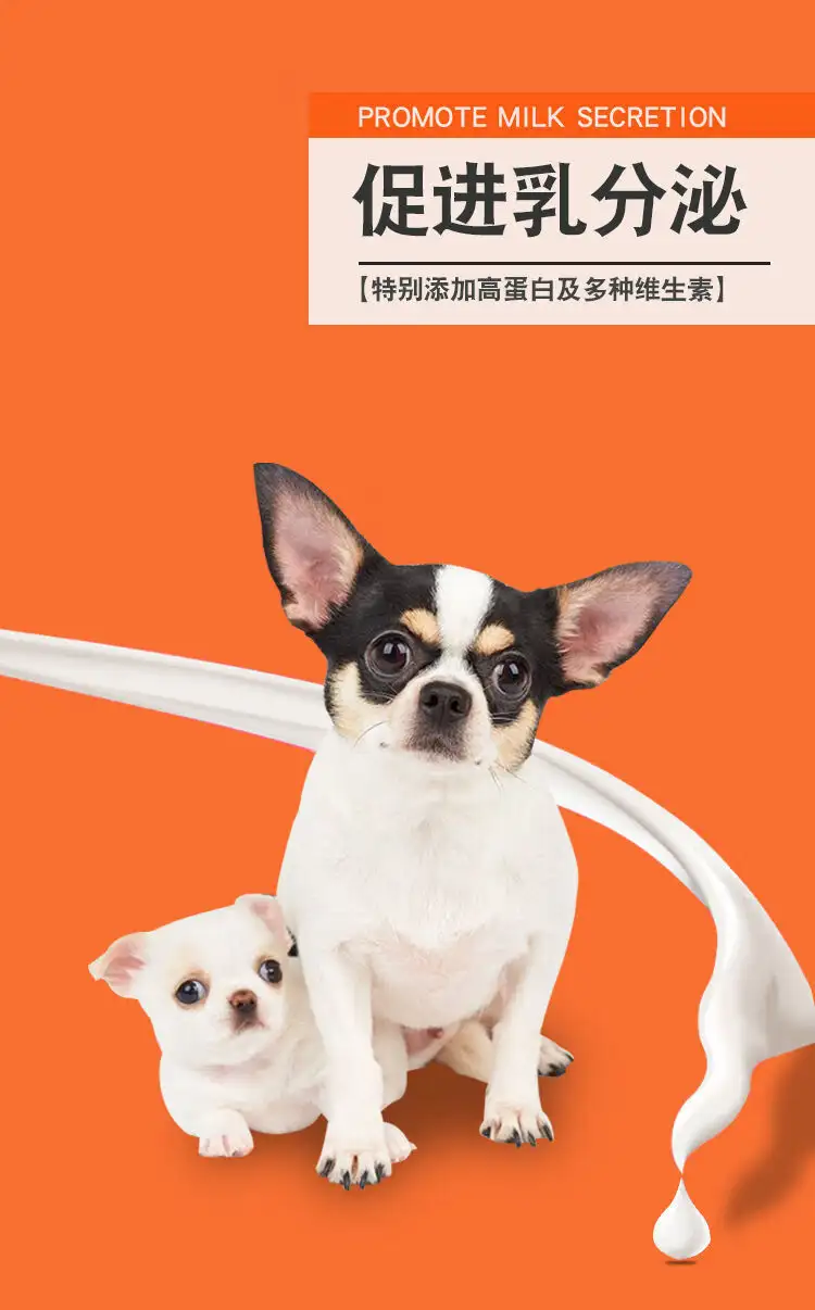 狗狗生产前多久会下奶(狗狗生产前几天能挤出奶)
