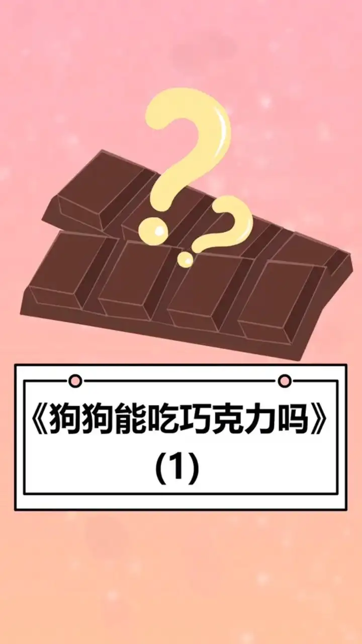 狗狗为啥不能吃巧克力?(狗狗为啥不能吃巧克力葡萄)
