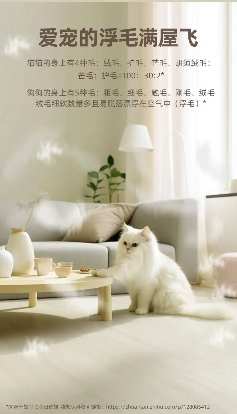 如何养一只宠物(如何养一只宠物猫)