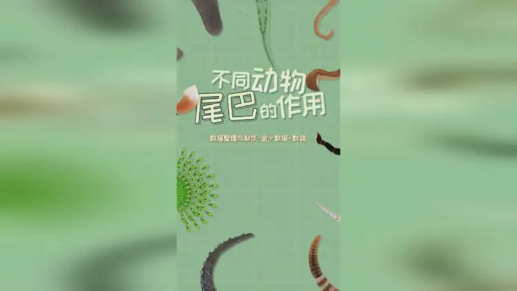 的尾巴有什么作用(鲸鱼的尾巴有什么作用)