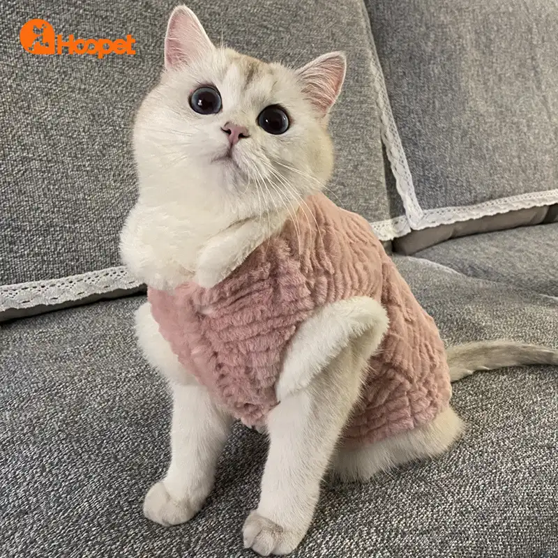 布偶猫价格多少幼猫(布偶猫价格多少幼猫可以买)