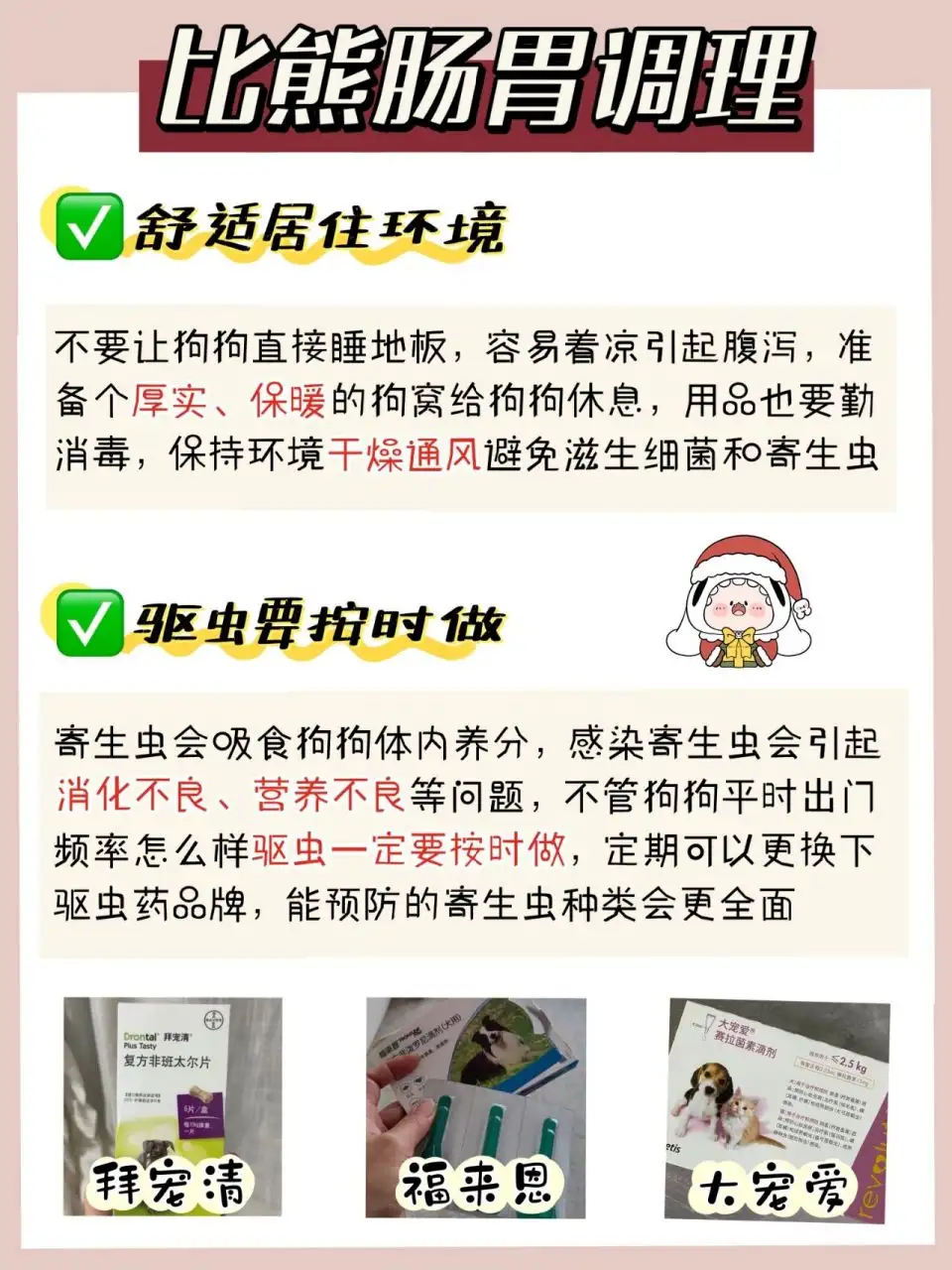 比熊新手怎么养(比熊新手怎么养活)