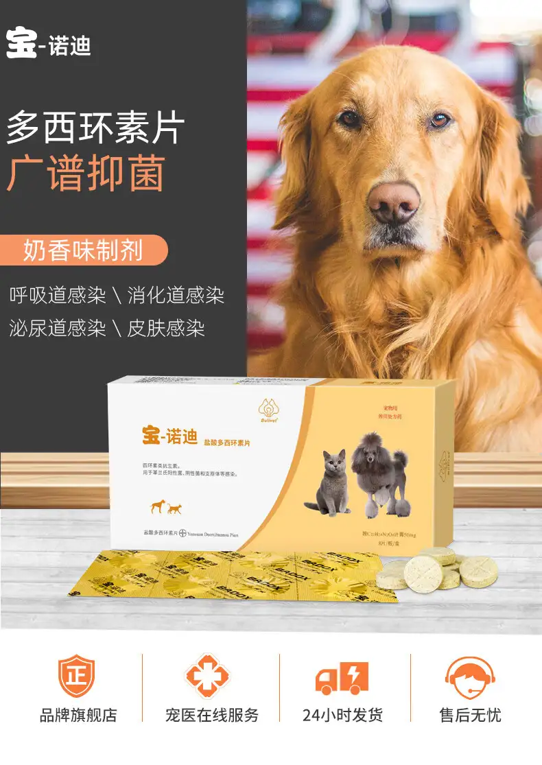 狗狗感冒发烧了吃什么药退烧啊(狗狗感冒发烧了吃什么药退烧啊好得快)
