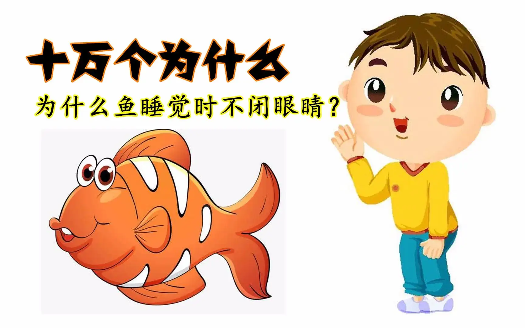 为什么鱼睡觉时睁着眼睛(为什么鱼睡觉时睁着眼睛写话二年级下册)