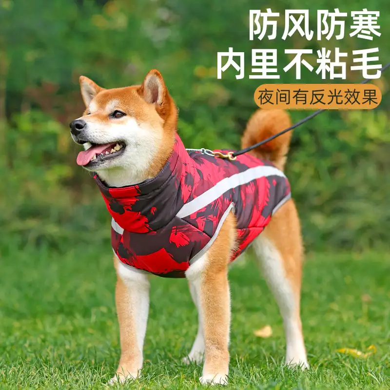 中型犬大型犬小型犬怎么区分(中型犬大型犬小型犬怎么区分的)