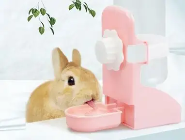 宠物兔喝水吗(宠物兔要喝水吗?)