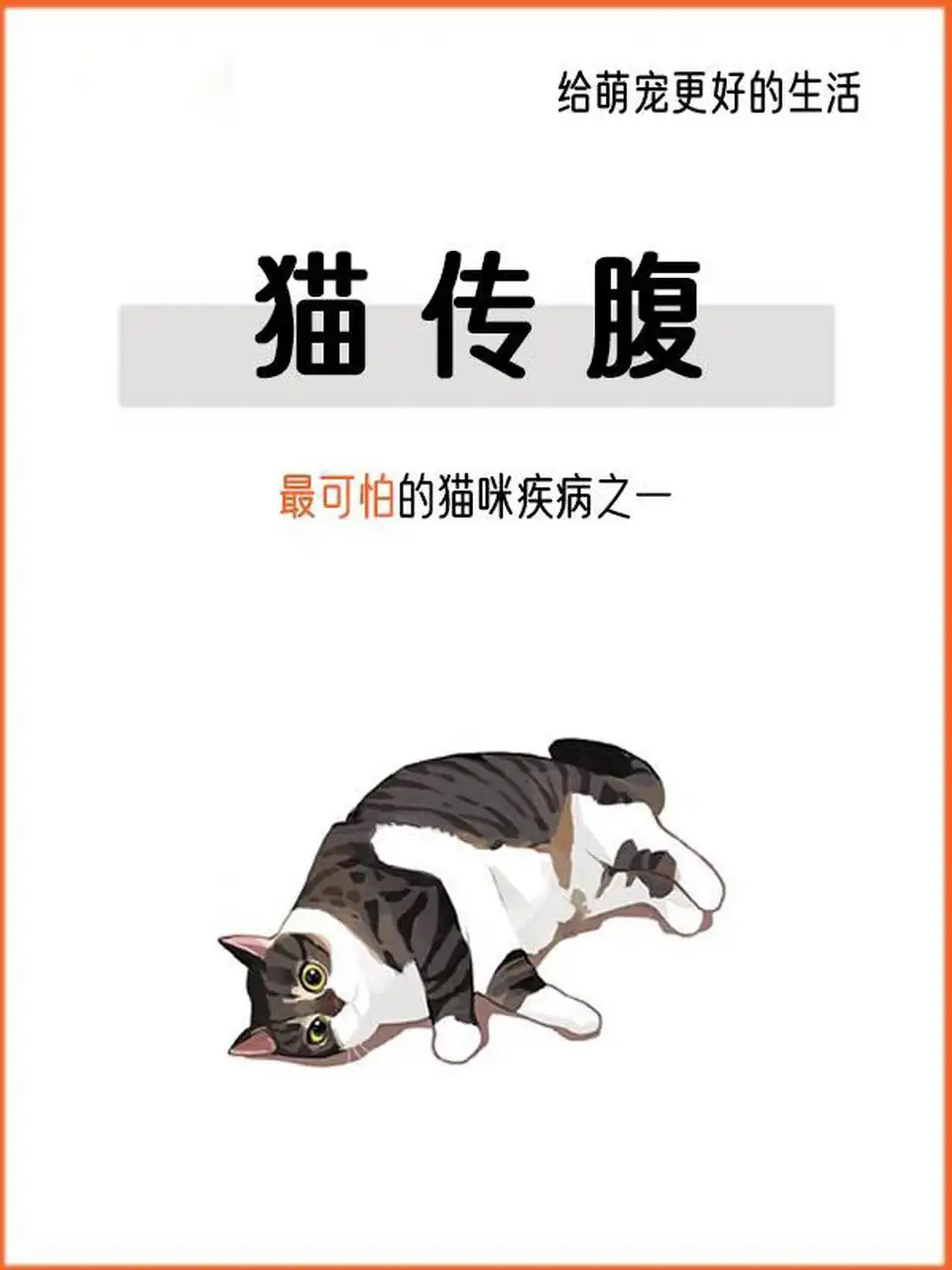 猫传腹病是怎么得的(猫得传腹是什么引起的)