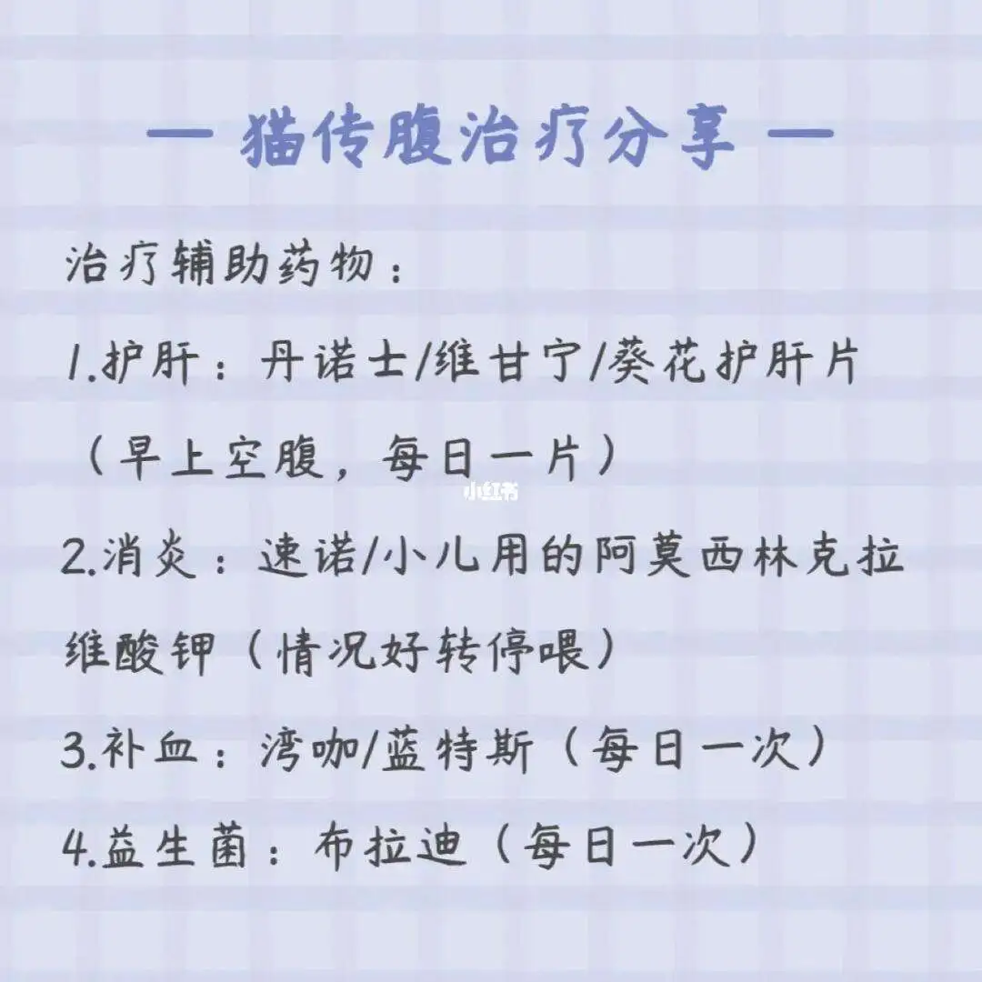 猫咪吃什么治传腹(猫传腹吃什么药促进腹水吸收)