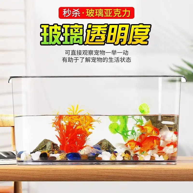 巴西龟用多大缸养(巴西龟要多大的鱼缸)