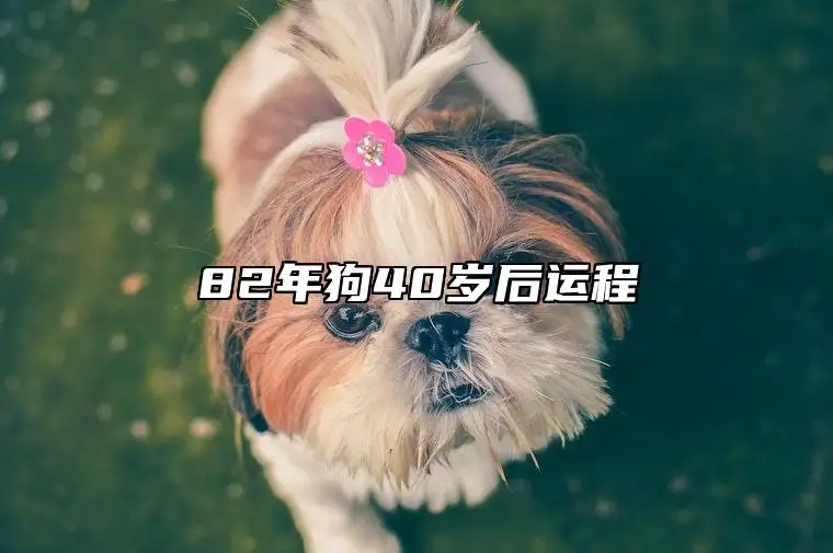 46年属狗人寿命多长(属狗的46年生今年多大)