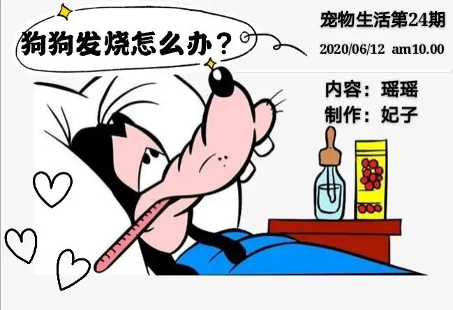 成年狗发烧(成年狗发烧有哪些症状)