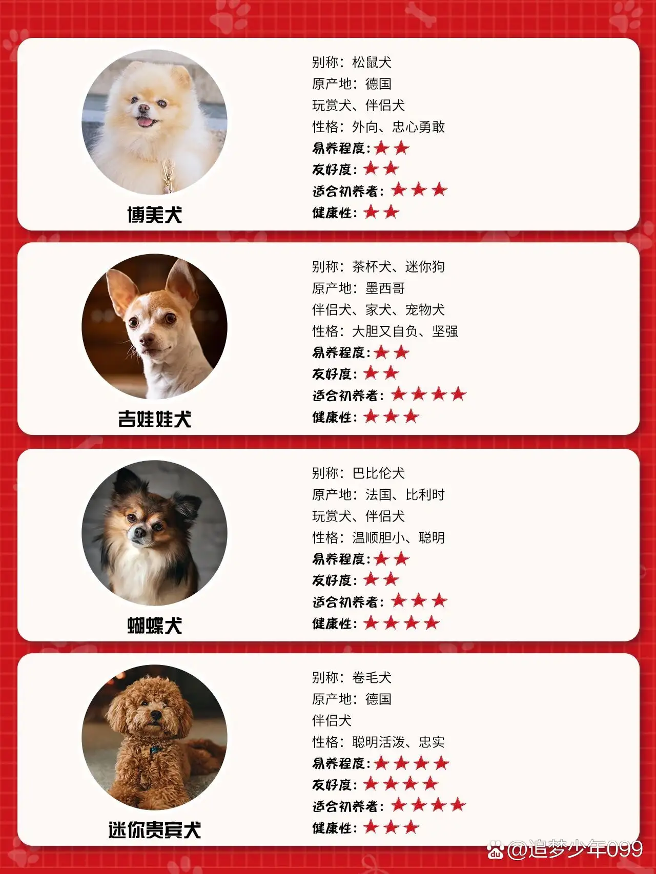 小型幼犬(小型幼犬一天喂几次)