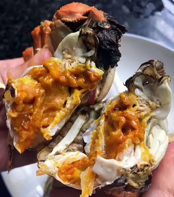 迷你豆蟹吃什么(迷你豆豆蟹的寿命有多长)