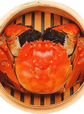 公螃蟹吃什么食物(公螃蟹吃什么部位图解)
