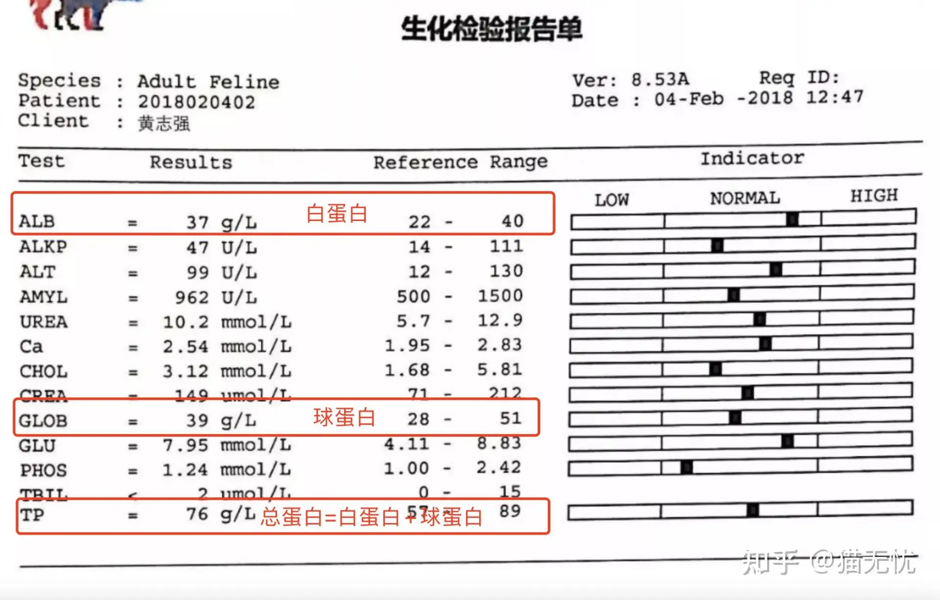 猫干性传腹如何确诊(猫咪干性传腹如何确诊)