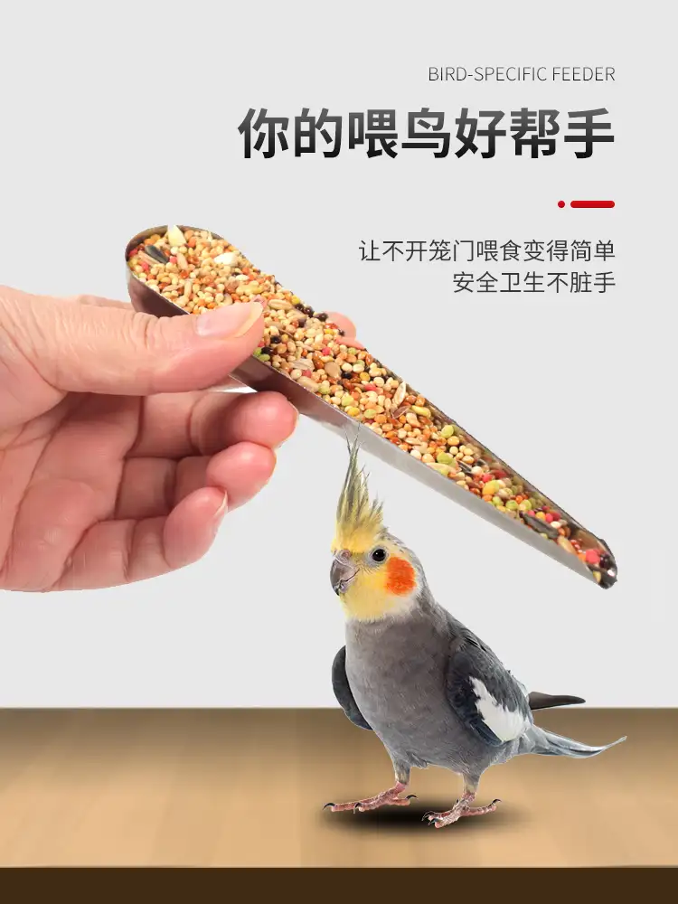 虎皮鹦鹉怎么喂食(虎皮鹦鹉怎么喂食幼鸟)
